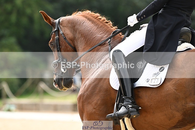 240811-134327-06161 - 127-Sarah.Stewart-DJoe.DiMaggio