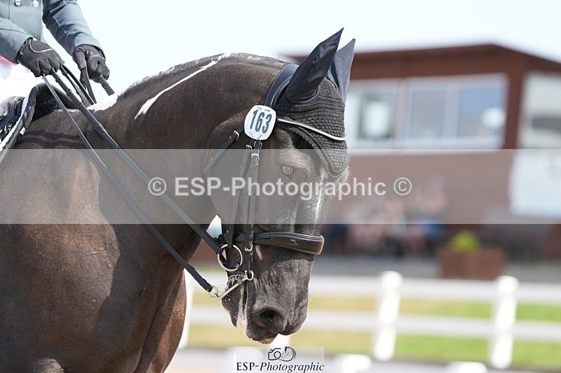 250817-122426-09057 - 163-Hannah.TownleyThe.Domino.Effect