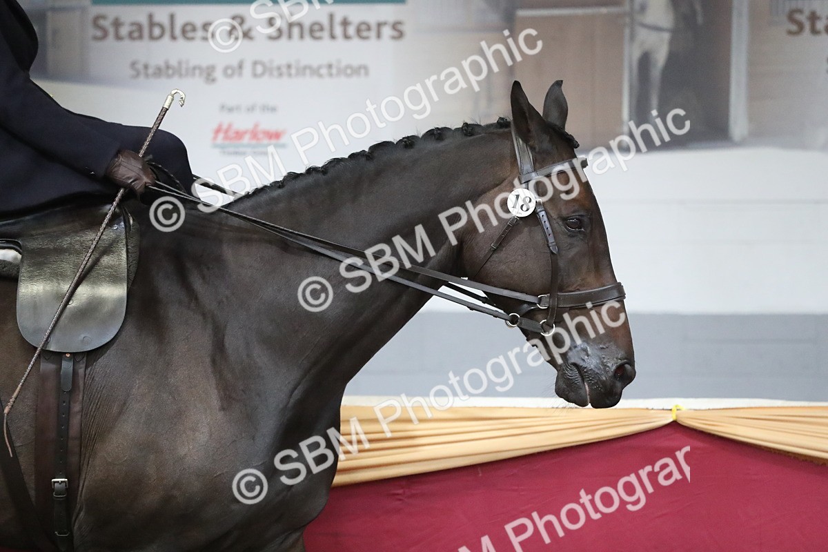 SBM_10294 - Class 102 Equitation (best rider) Adult