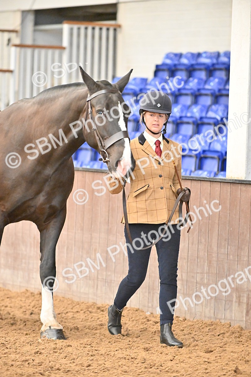 SBM_000074 - Class 4 - BSHA In Hand Show Cob