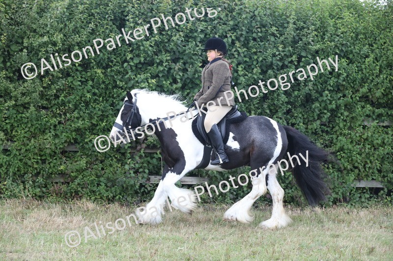 20250831-4269 - Class 20 - Ridden Coloured