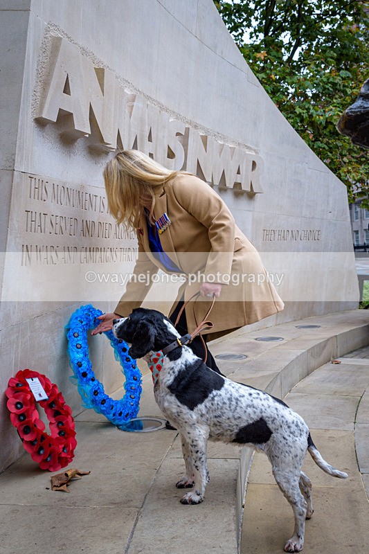NGP_8264 - 2024 Animals in War Remembrance Gathering