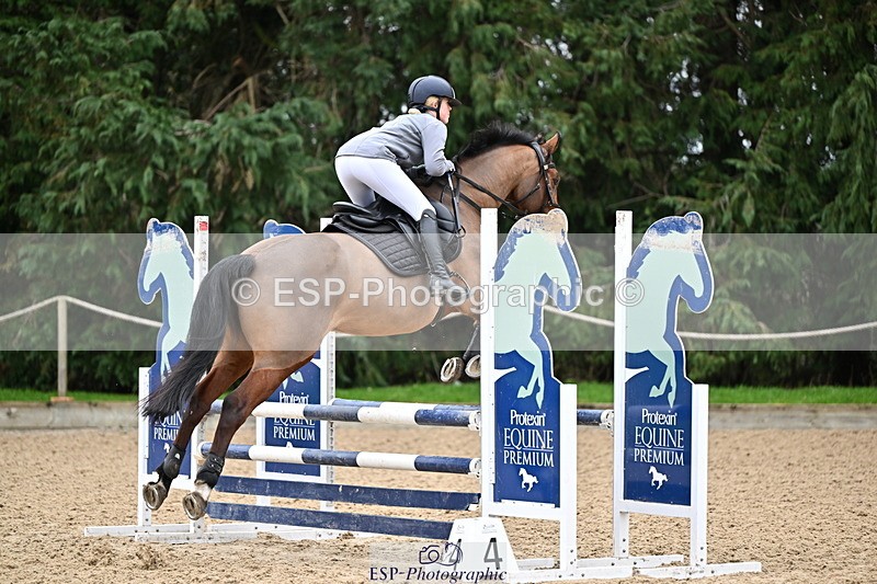 250201A-103341-00254 - Cls 01 Local Horse 90cm