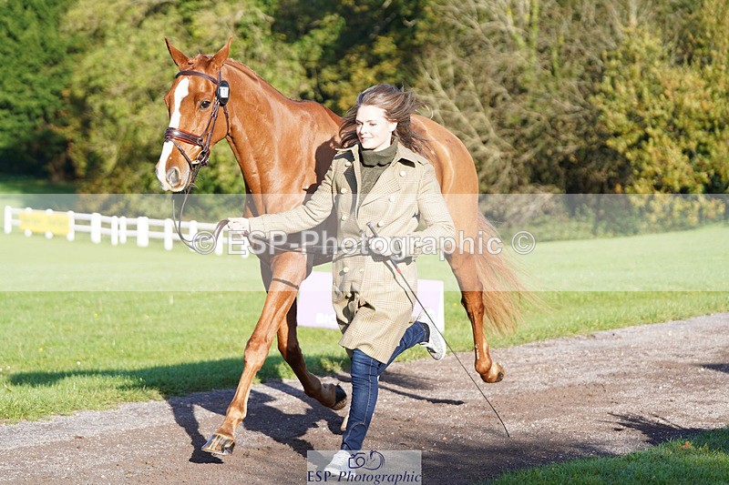 241026-101834-11767 - 010-Julia.Norman-SCOTCH.ON.THE.ROCK'Z