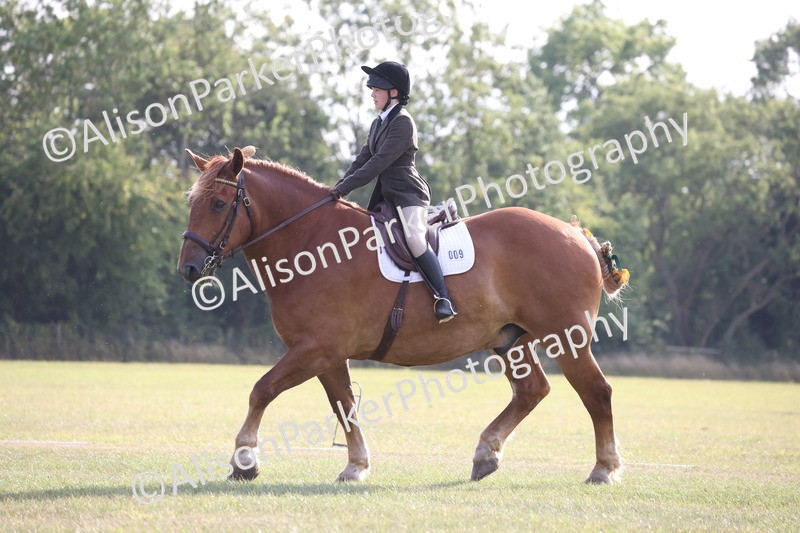 20250731-0572 - Class 1 - Intro 4