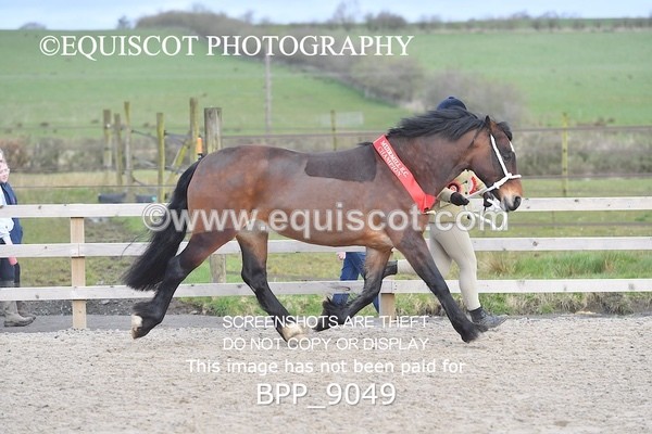 BPP_9049 - RING 2 - M&M