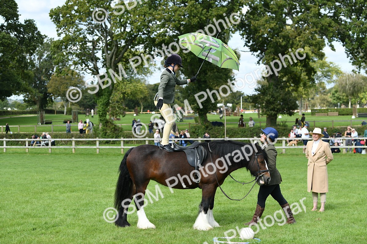 SBM_46938 - S12 - Family Horse & Pony