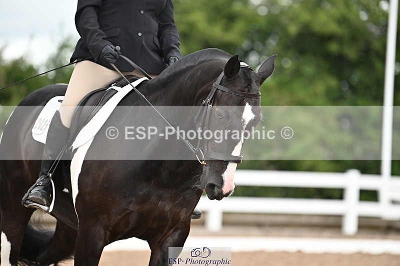 250705-175520-03908 - BRCP4 Sections BRCP4SNR, BRCP4JNR 13.50 to 14.53