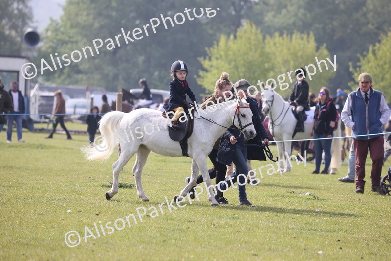 20260426-0338 - Class 30 - Tiny Tots Lead Rein