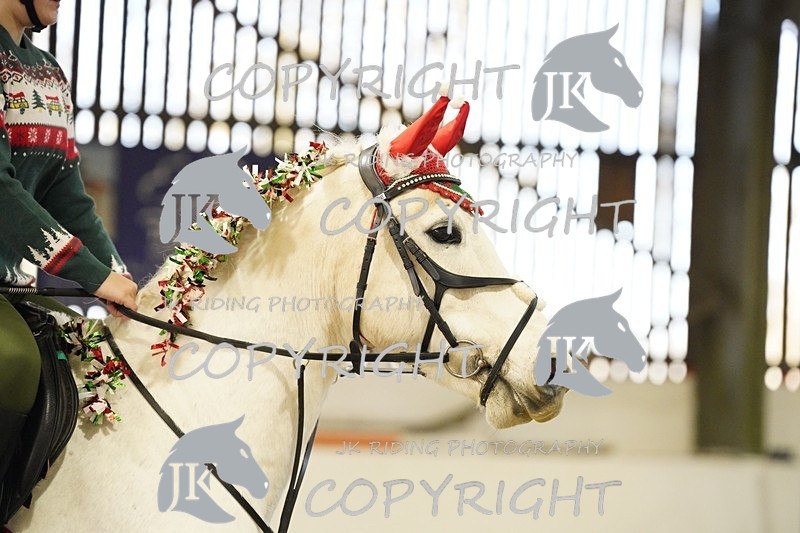 _DSC3284 - 50cm/60cm Pairs