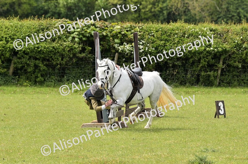 20260426-2416 - Class 21 - Working Hunter Ponies