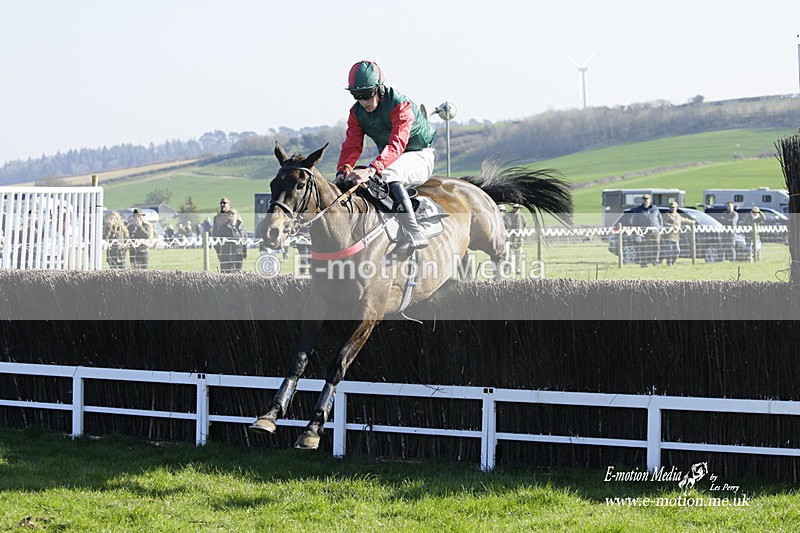 PtP 190322 598 - Wilton Hunt PtP Milborne St Andrew 19/03/22