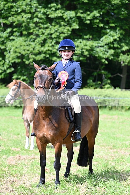 WJ7_0879 - Class 8 First Rally Pony