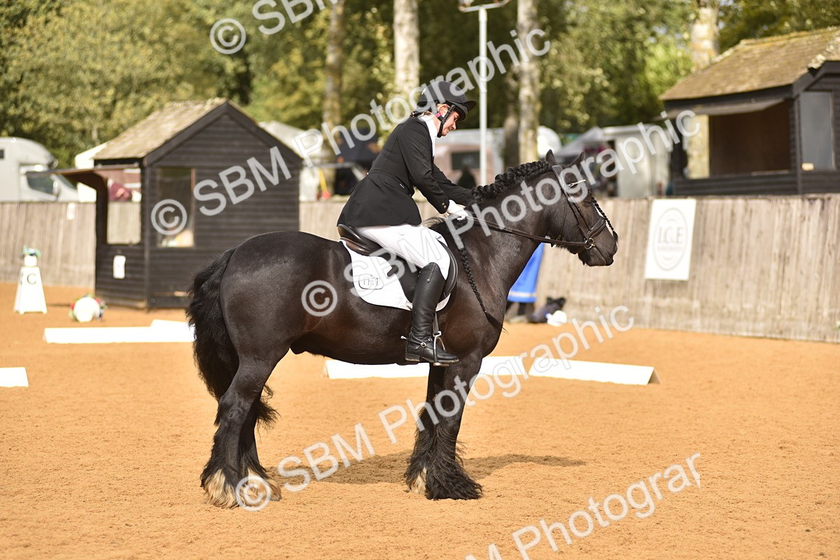 SBM_10140 - D15 - Small Tour Championship Novice 1