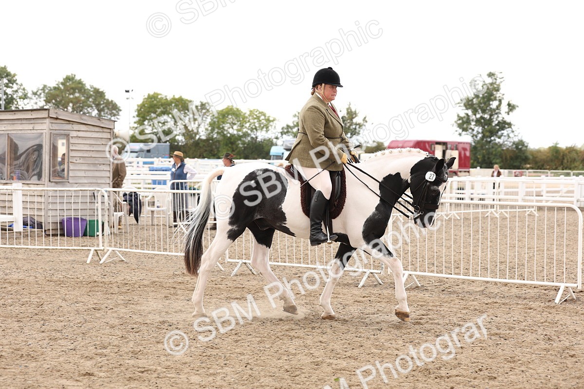 SBM_04187 - Class 54 - Riding Club Horse/Pony