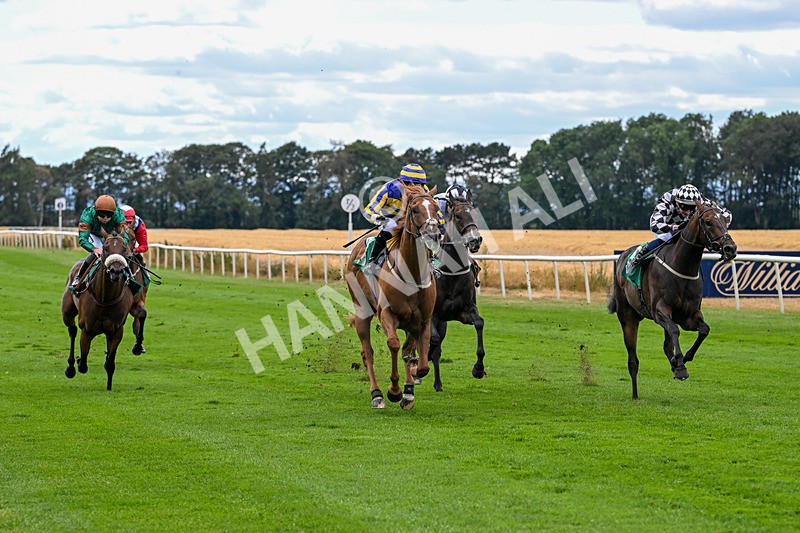 070826-Race 4-Azuinthejungle-1832 - Race 4 15.40pm Ladies' Day Saturday 5th September - Book Now Handicap