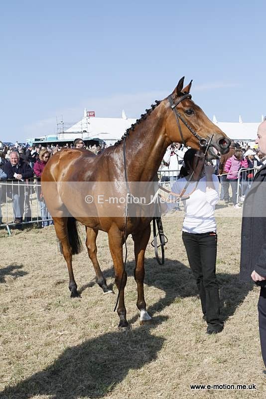  GRD 030510 89 - Guernsey Race Day 03/05/10