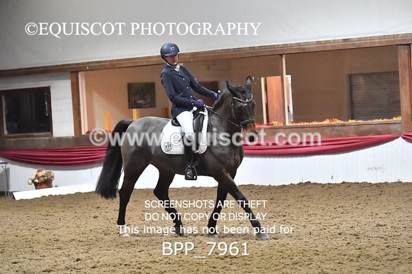 BPP_7961 - ELEM TEST 6