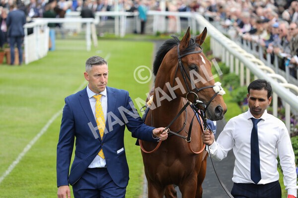 yr12052022r4-23 - Race 4 3.35pm Al Basti Equiworld Dubai Dante Stakes