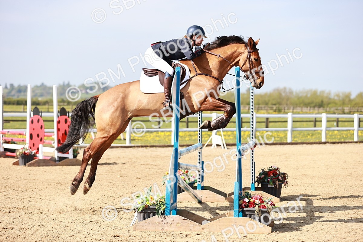  - Class 21 - Senior British Novice - 90cm