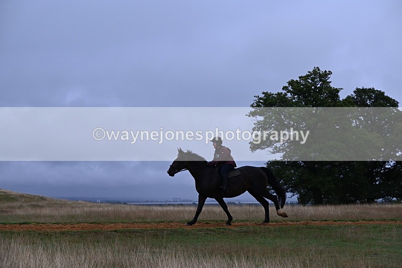 DSC_2514 - Time at Statue 12:34 to 12:56