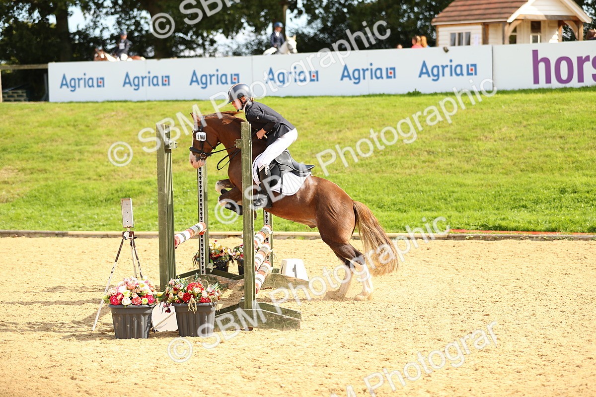 SBM_66093 - J17 - Junior Pony 80cm Championship
