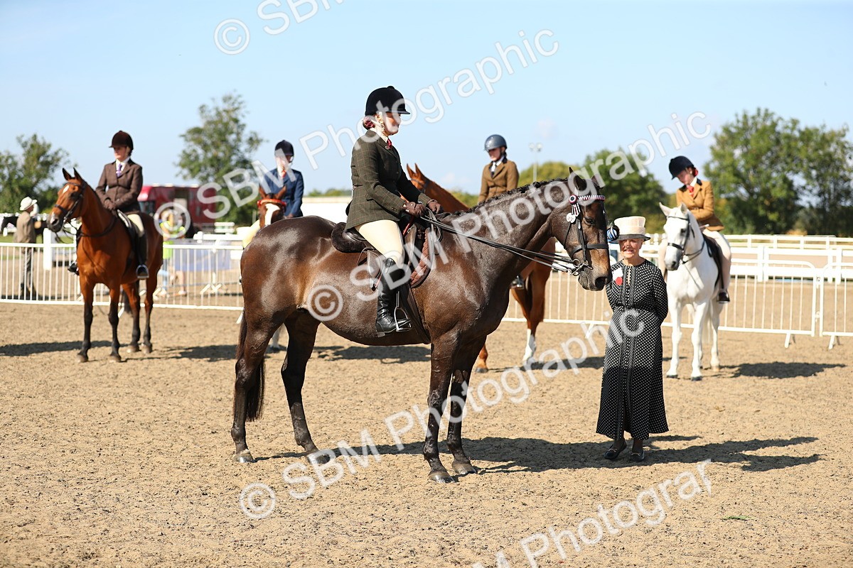 SBM_02317 - Class 43 Ridden Competition Horse/Pony
