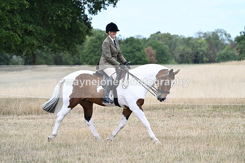 WJ7_4842 - Class 12 Ridden Cob
