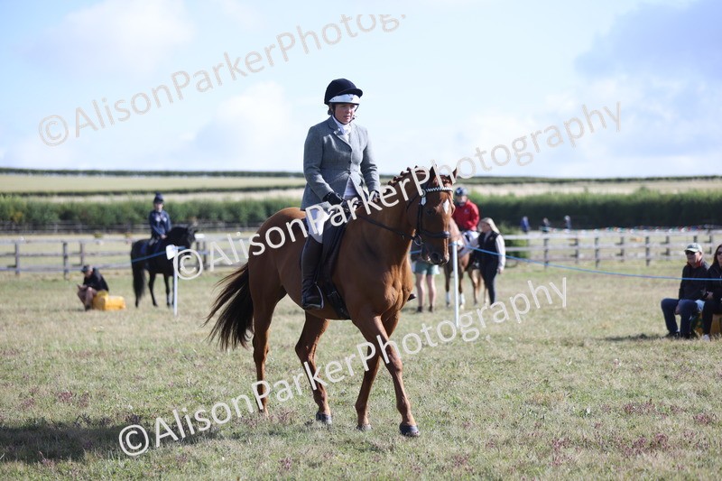 20250831-0892 - Class 14 - Ex Racehorse