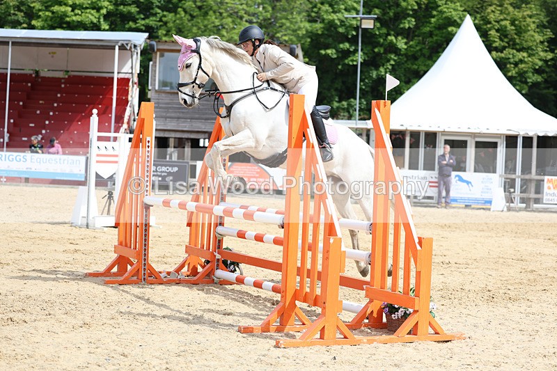 3E7A8809 - Class 4: Senior British Novice/90cm open