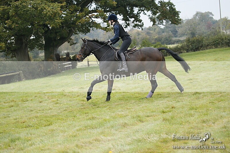 WWHT 181020 WWHT 181020 552 - WWEC Open Novice (0.80m) 18/10/20