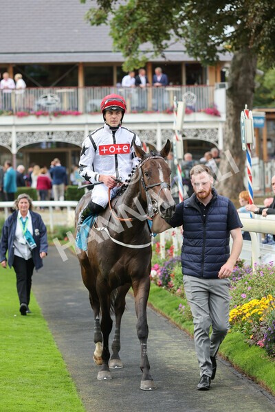 yr04092022r4-31 - Race 4 3.30pm Federation of Bloodstock Agents Nursery Handicap
