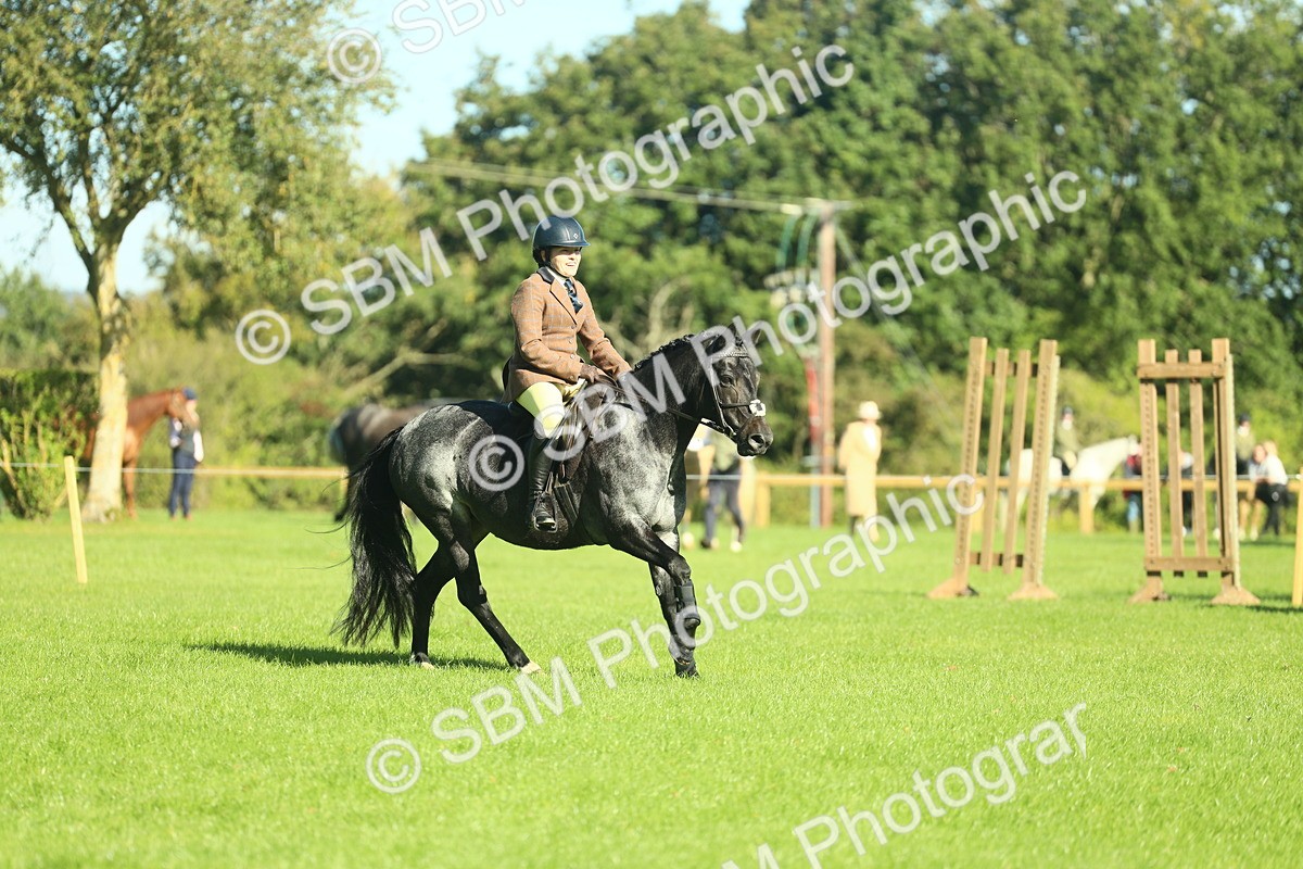 SBM_36454 - S29 - Novice & Newcomers Working Hunter Pony