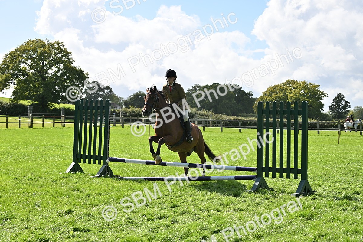 SBM_44587 - S13 - Pony Club Pony