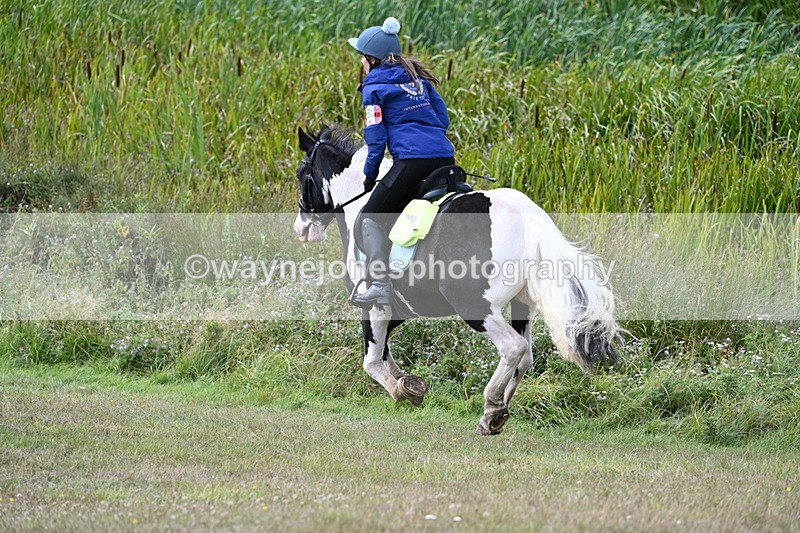 WJ7_5967 - Time 11:50 to 12:09