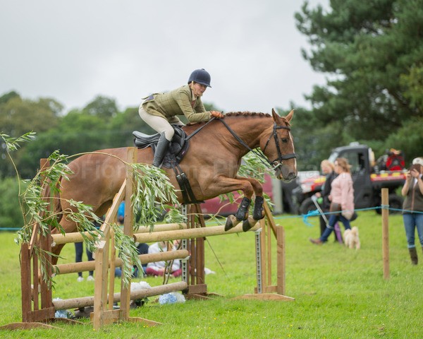 Dunblane show-657 - Dunblane and Doune Show Ring 1