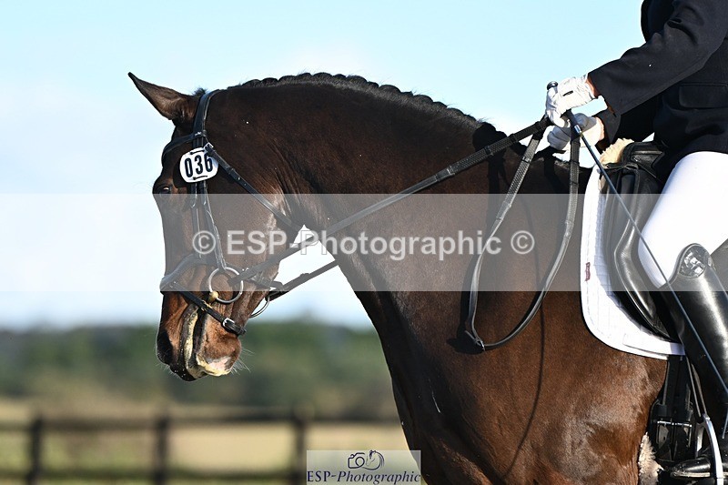 231105-142044-02345 - Cls 5 Novice 27 Start to 15.30 break