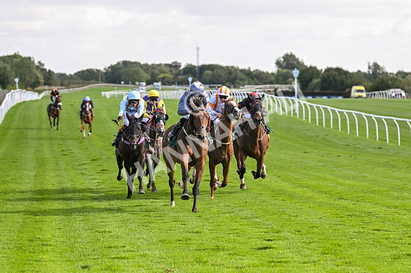 100924-Race 3-Laudable-0170 - Race 3