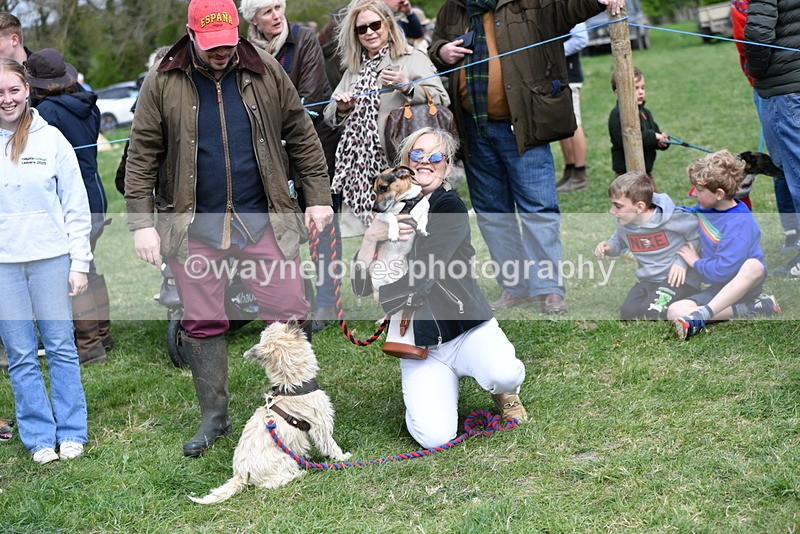 WJ5_0531 - Class 7 Best Terrier