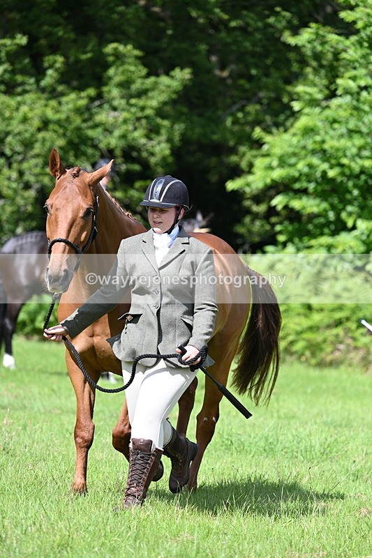 WJ7_1089 - Class 11 Condition & Turnout