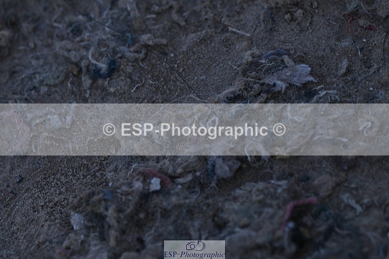 250514-110035-00136 - Discovery and 1m Open