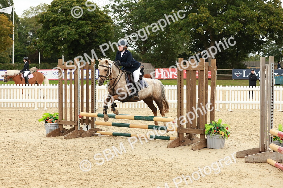 SBM_67071 - J13 - Junior Pony 60cm Championship