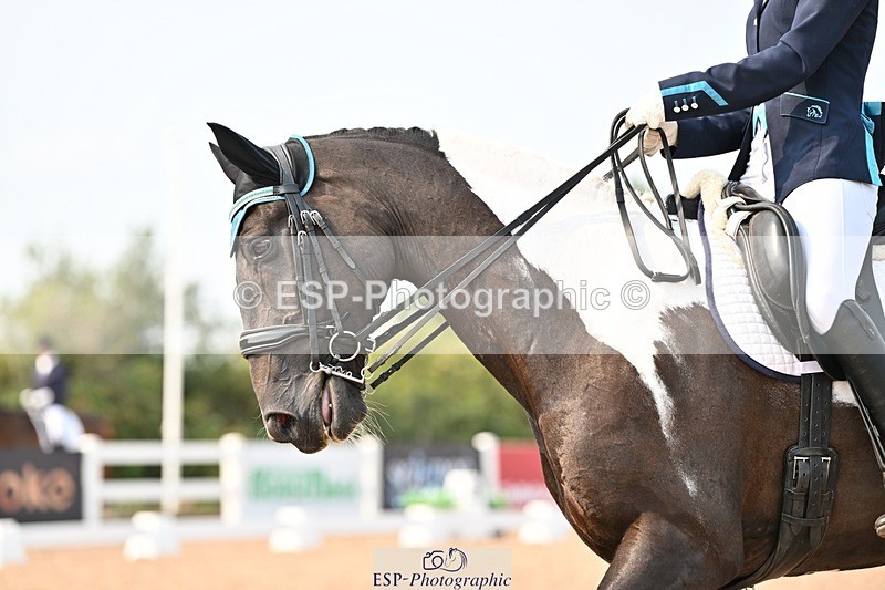 250816-153647-05912 - 037-Alys.MatraversTiger.Mazariti