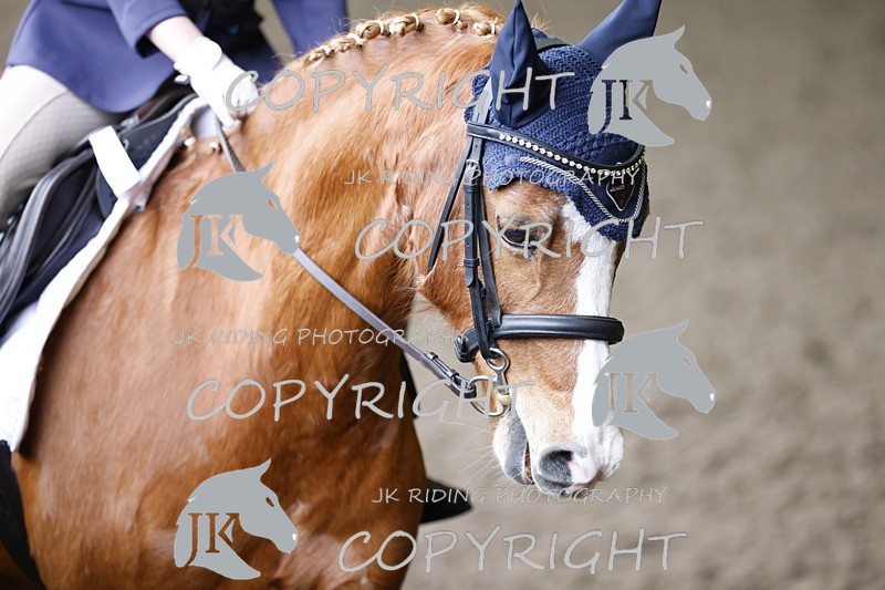 _R6A1600 - Class 2 Preliminary PC70D 2022