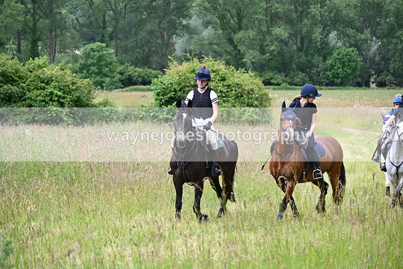 WJ6_7925 - Camera 1 Gallops