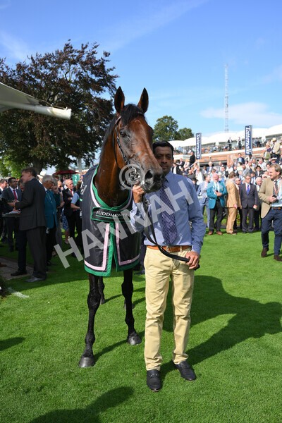 yr18082021r4-157 - Race 4 3.35pm Juddmonte International Stakes (British Champion Series race)