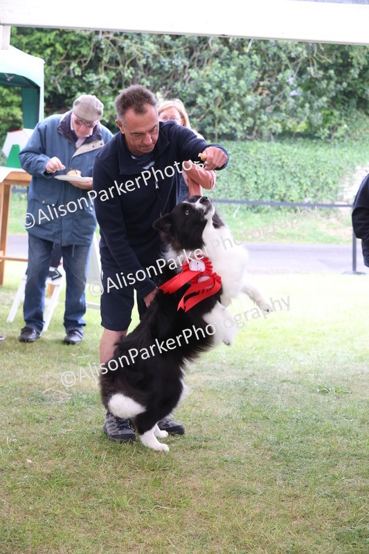 20250607-0466 - Best in Show