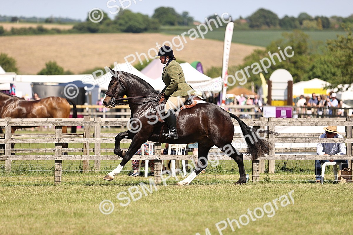 SBM_17920 - Class 81-83 - TSR Ridden Amateur of the Year - Horses