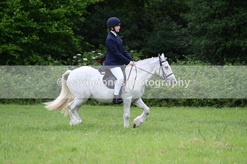 WJ7_2592 - Class 12A Coloured Class