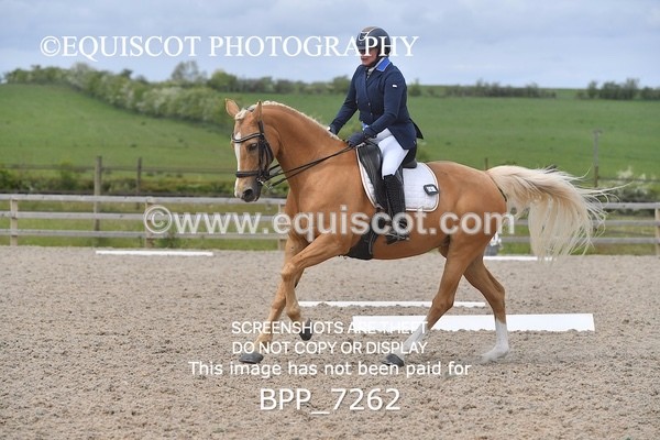 BPP_7262 - 3 D HARRISON
